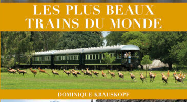 le train, un voyage en soi