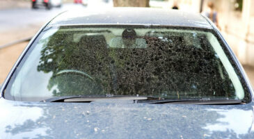 Poussière du Sahara : le nuage revient en France demain !
