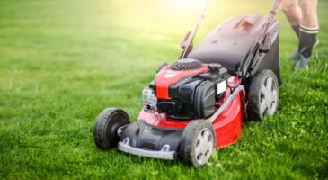 Destockage Lidl : craquez pour une tondeuse à gazon à 35 euros !