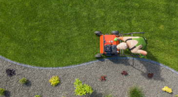 Carrefour : les meilleurs produits pour entretenir son jardin