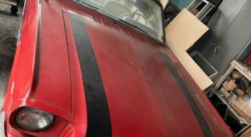 Une collection de Ford Mustang, abandonnées et oubliées!