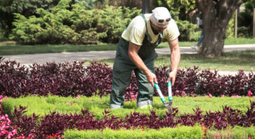 Les conseils pour aménager soi-même son jardin