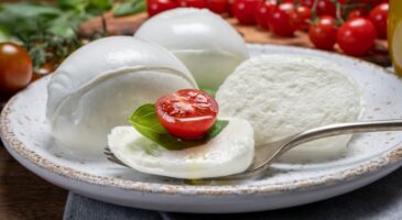 Voici les 3 meilleures mozzarellas du marché