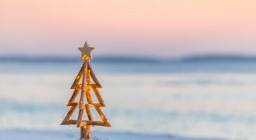 Sapin de Noël en bois : 24 idées pour le réaliser soi-même