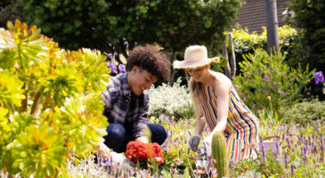 La nouvelle tendance que vous devez adopter pour votre jardin