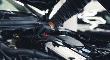 Entretien low cost : l’art de faire de belles économies !