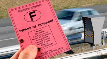 Permis de conduire numérique : voici à quoi s'attendre !