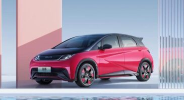 BYD Dolphin Special Edition : bientôt une sportive à 16 000 €