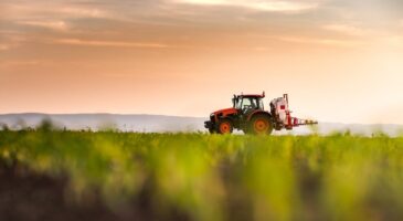 Tracteurs : ils organisent une course de tracto cross