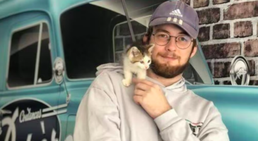 Il roule avec un chat bloqué dans son capot !