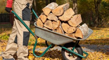 Une lourde amende pour les Français qui ramassent du bois en forêt pour se chauffer