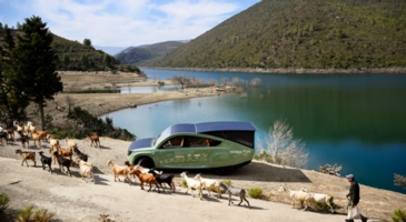 Ils font 1000 kilomètres sans recharge en voiture solaire tout-terrain, la Stella Terra