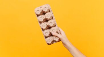 15 astuces brillantes et pratiques pour recycler les boites à œufs