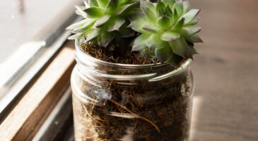Recyclage des bocaux en verre : 15 brillantes idées pour leur donner une seconde vie