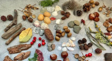 Bricolage avec des noix et leurs coquilles – idées de loisirs créatifs pour enfants et adultes