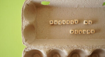 12 idées originales pour recycler vos boîtes d'œufs