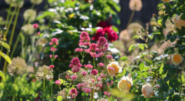 Ce qu'il faut faire dès avril pour un jardin ultra coloré au printemps