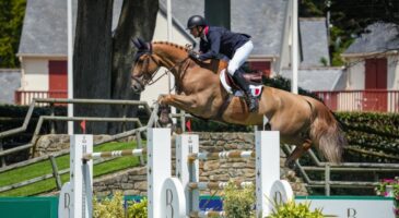 L'équitation française en deuil