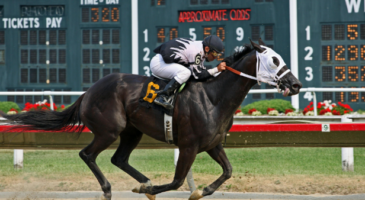Découvrez l'évolution des paris sportifs à travers le temps