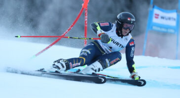 Hector seule au monde à Kranjska Gora