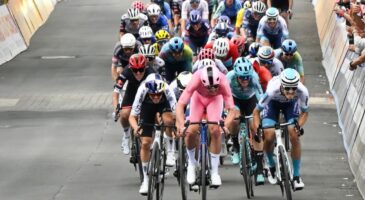 Giro : Pedersen au sprint, 3e victoire pour le Danois