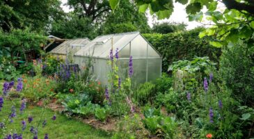 Canicule au potager : comment fabriquer une ombrière pour sauver ses fruits et légumes de la chaleur ?
