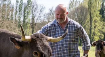 "Il gagne 400 euros par mois, il ne peut pas payer sa femme" : Philippe Etchebest (59 ans) s'insurge contre le traitement des agriculteurs
