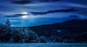 Pleine Lune de juillet : la qualité de votre sommeil va se dégrader, voici pourquoi