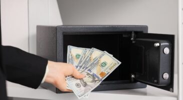 Elle place 26 000 euros dans un coffre-fort : des termites dévorent toutes ses économies