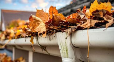 Les couvreurs sont unanimes : “Les protections anti-feuilles pour gouttières accumulent les feuilles mouillées et retiennent l'eau au lieu de la laisser s'écouler”