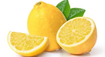 Plus jamais à la poubelle : le jus de citron est un concentré de bienfaits pour la santé qui contribue à protéger le cœur et réduit la consommation de sel