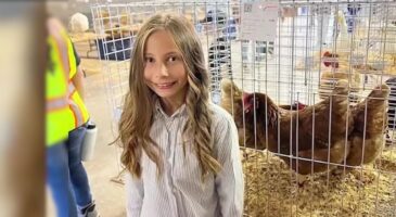 "J’ai mérité cet argent" : à seulement 10 ans, elle réussit à vendre ses poules pour 1900€, mais sa banque lui confisque la somme