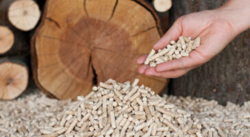Pellets de bois : l'Anses alerte sur leur gaz invisible et mortel qui peut causer “coma, convulsion et détresse respiratoire voire la mort rapide"