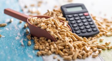 Chauffage aux granulés : la hausse du prix des pellets pourrait coûter plus de 300 euros supplémentaires