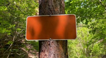 « L'amour est aveugle. Les promeneurs, non » : dans cette forêt, le maire a fait mettre des panneaux aux messages très clairs pour faire fuir les amoureux