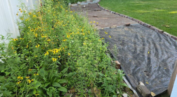 Mettre des bâches noires dans son jardin : à quoi ça sert et pourquoi est-ce recommandé ?