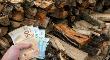 Prix du bois de chauffage en octobre 2026 : combien coûte un stère dans votre région ?
