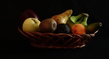 "Servez-vous, c'est gratuit" : des fruits à venir récupérer gratuitement directement dans les vergers d'Angoulême