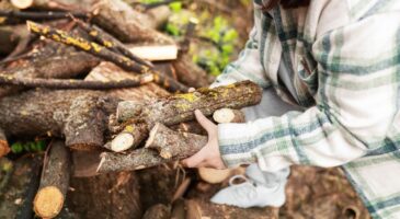 Chauffage au bois : peut-on ramasser du bois en forêt ? L'Office National des Forêts alerte sur les sanctions prévues