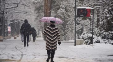 Un hiver froid et rigoureux s'annonce, comme en témoignent ces signes observés dans la nature