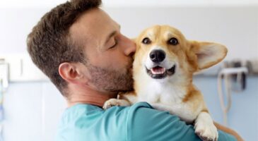 Louis Benitez, oncologue vétérinaire : "50 % des chiens de plus de dix ans meurent d’un cancer ; nous avons 20 ans de retard dans le traitement des tumeurs chez les animaux, faute de financement"