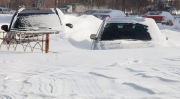 70 cm de neige à Saint-Tropez, 80 cm à Bordeaux… Cette tempête de neige hors norme que n’ont jamais oubliée les habitants du littoral méditerranéen