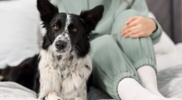 Isabelle vit sans radiateur depuis 3 ans : "J'ai appris à isoler mes fenêtres et j’ai adopté un chien qui me tient chaud"