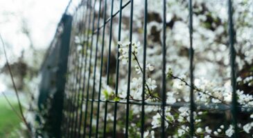 Quels sont les avantages de la clôture en grillage rigide ?