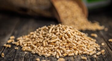 Poêle à granulés : mon voisin pensait faire des économies avec ses vieux pellets, mais l'humidité lui a fait perdre de l'argent