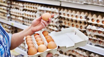 Œufs : ce chiffre sur la coquille révèle leur élevage