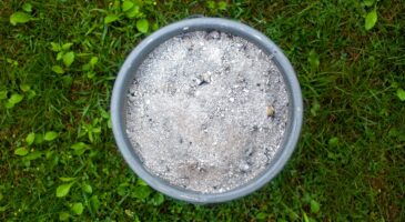 Cendre de bois au jardin : les 10 utilisations incroyables de ce trésor sous-estimé